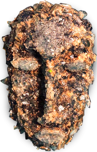 Glass masks “earthy faces”